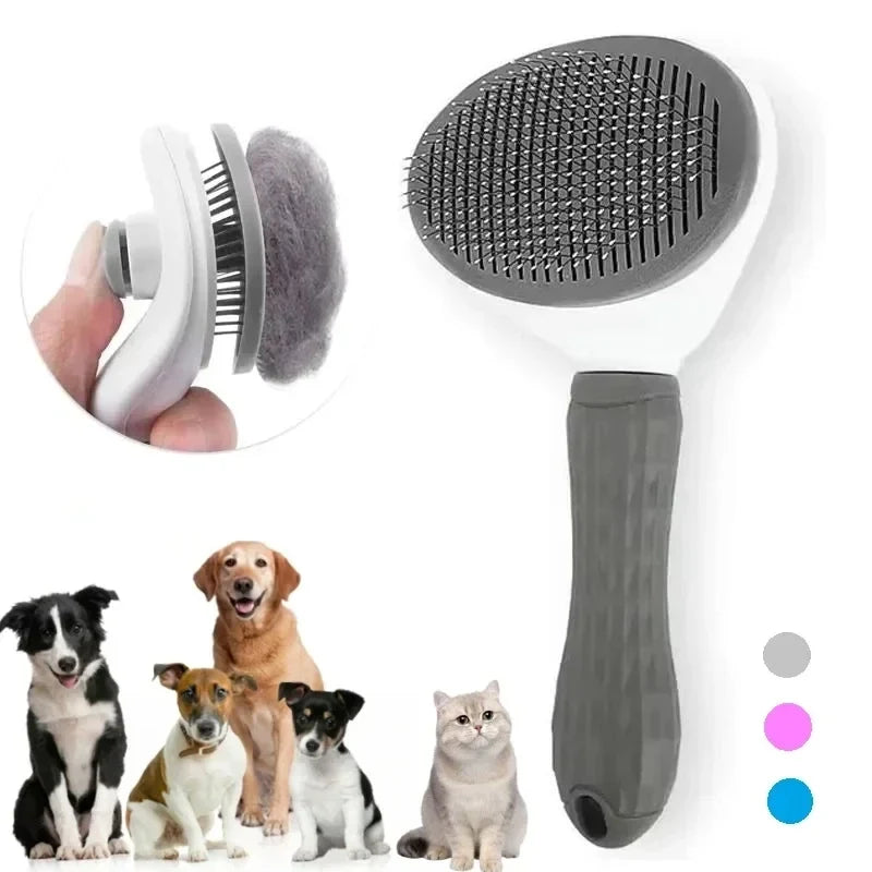 Grooming & Coat Care