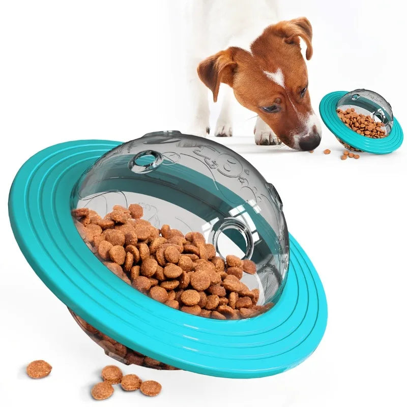 Enrichment & Play