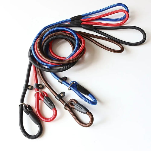 Adjustable Nylon Dog Leash