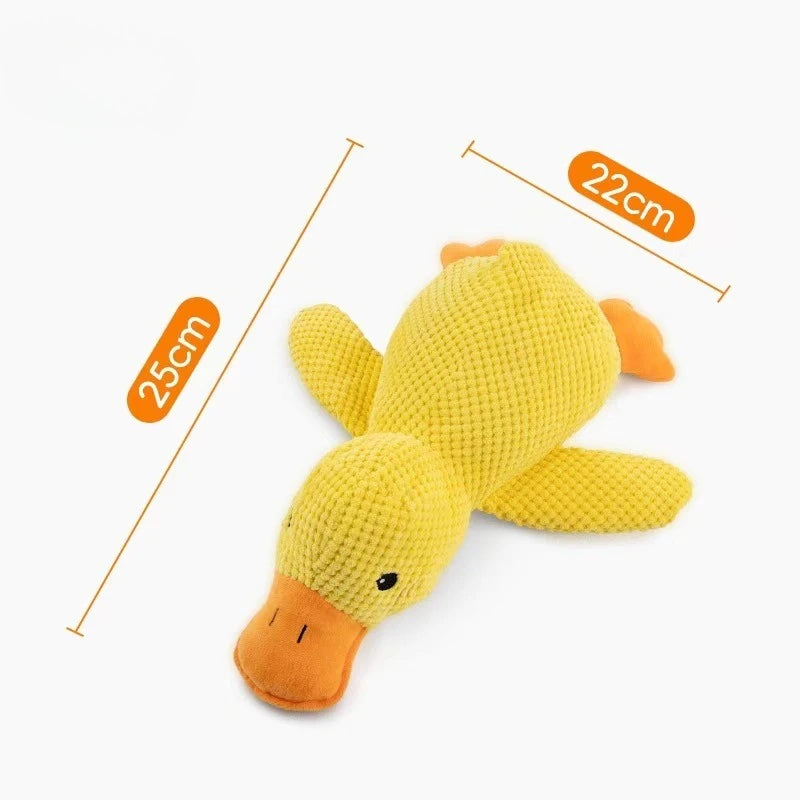 Squeaky Plush Chew Toy