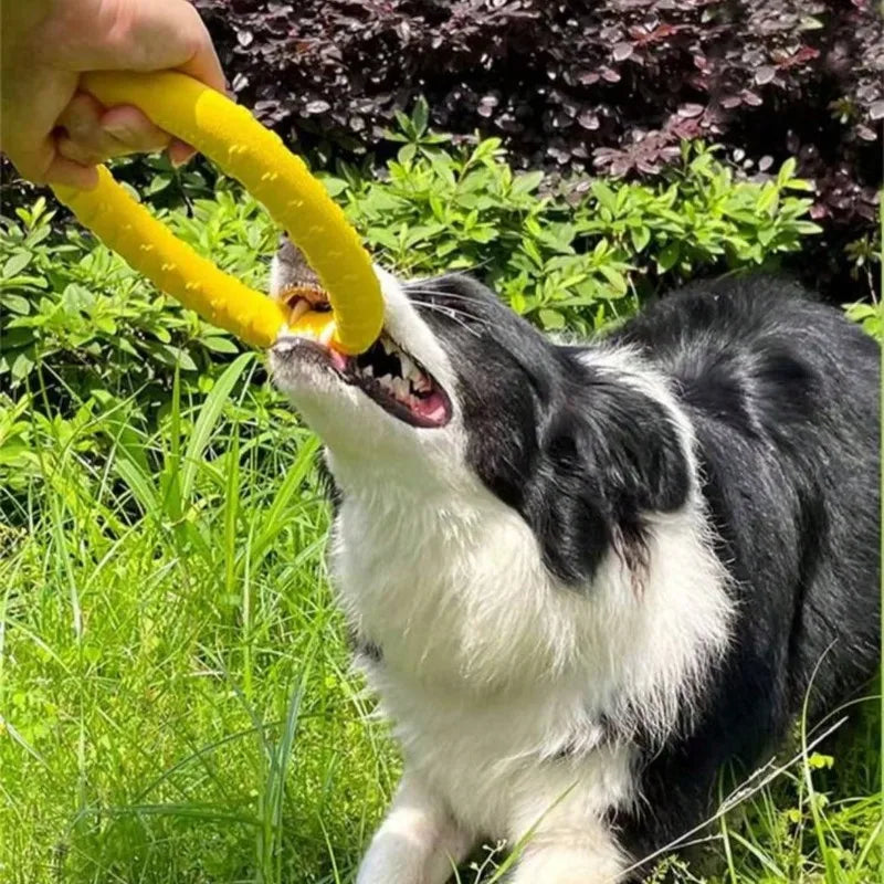 Border collie running outdoors in the grass with the yellow Durable Ring Chew & Fetch Toy