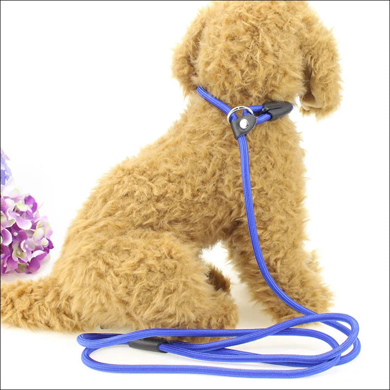 Adjustable Nylon Dog Leash