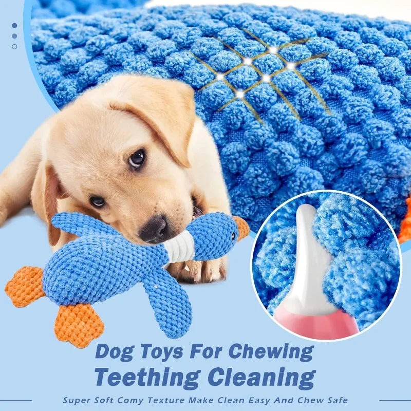 Squeaky Plush Chew Toy