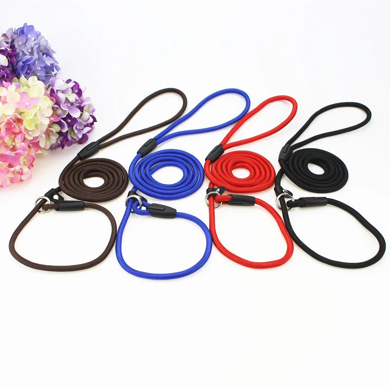 Adjustable Nylon Dog Leash