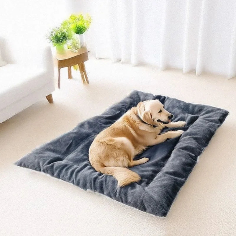 Golden retriever curled up sleeping on the Oversized Plush Sofa Dog Bed beside a sheer curtained window