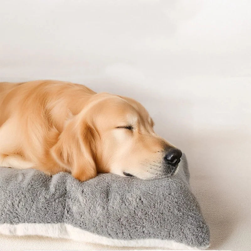 Close-up of a golden retriever resting on the soft plush texture of the Oversized Plush Sofa Dog Bed
