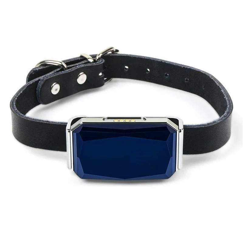 Waterproof GPS Pet Tracker