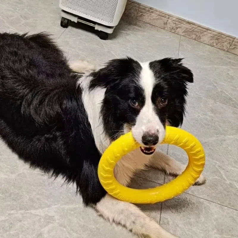 Durable Ring Chew & Fetch Toy shown in the middle size on a wooden table for size reference