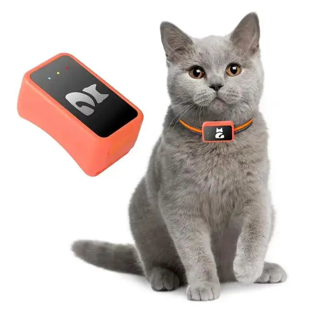 4G GPS Pet Fence Collar