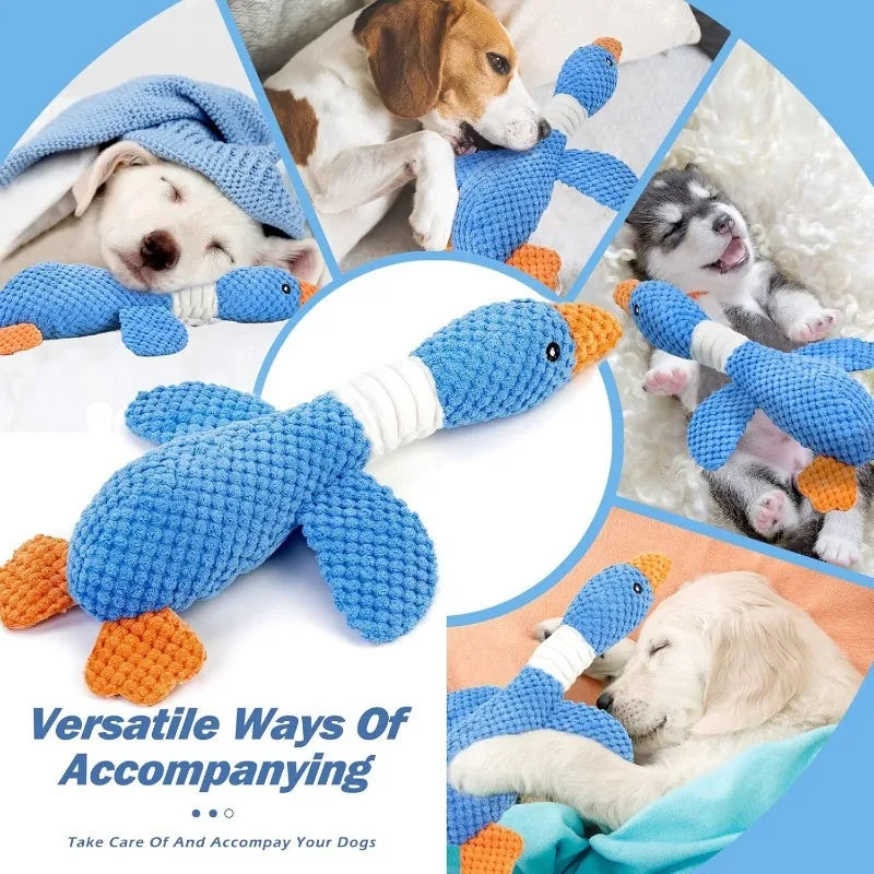 Squeaky Plush Chew Toy