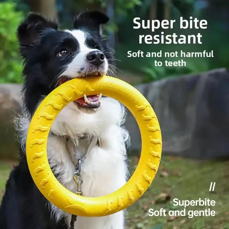 Border collie holding the yellow Durable Ring Chew & Fetch Toy indoors on a tile floor