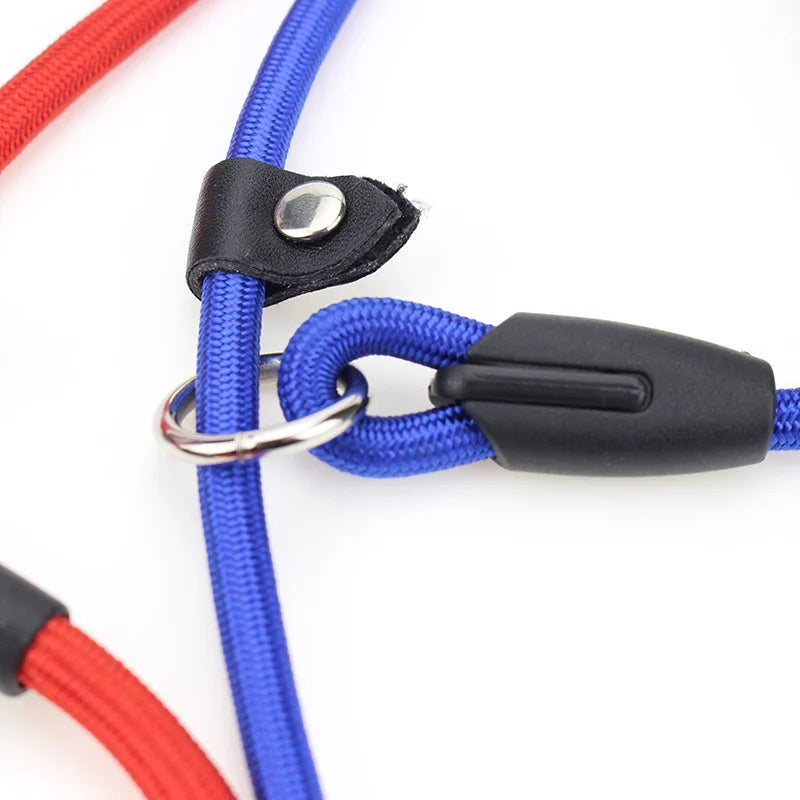 Adjustable Nylon Dog Leash
