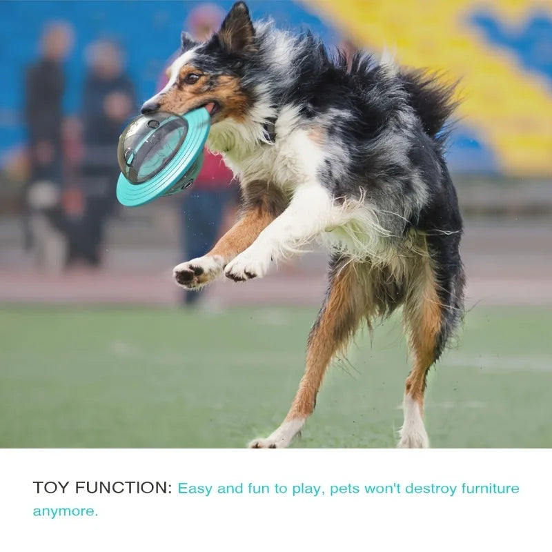 Treat-Dispensing Dog Puzzle Ball