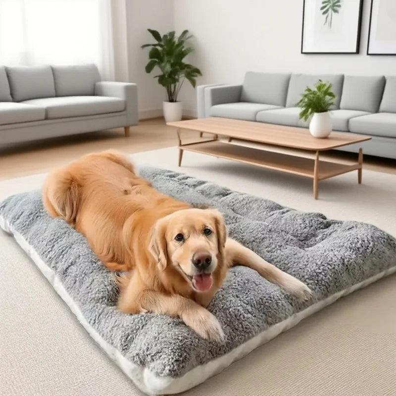 Oversized Plush Sofa Dog Bed shown flat with dimensions labeled 120cm x 60cm (47.2in x 23.6in)