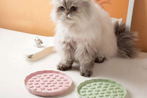 Fluffy grey Persian cat beside pink and green paw-pattern Ceramic Slow Feeder Cat Bowls on a table