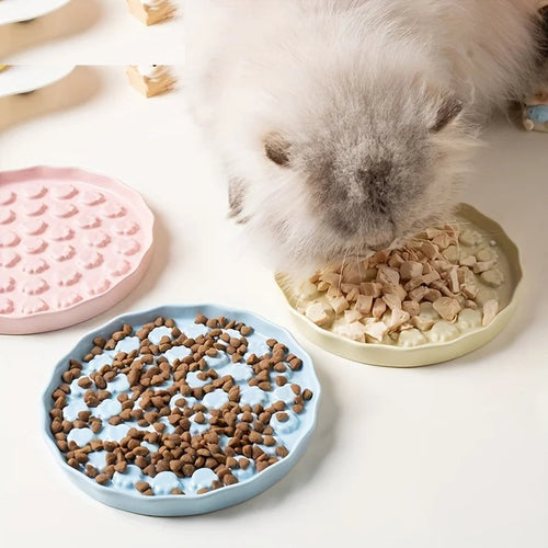Fluffy grey Persian cat eating kibble from a cream Ceramic Slow Feeder Cat Bowl beside a blue bowl also filled with kibble